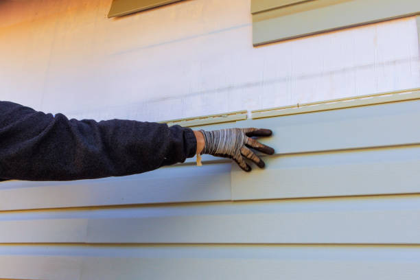 Professional Siding in Saukville, WI